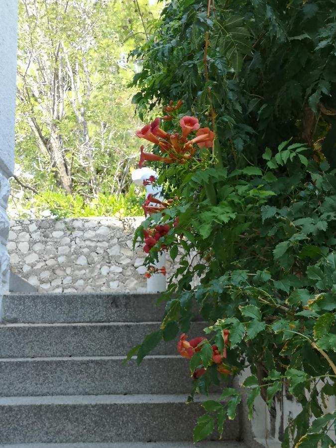 Apartments Bassi Stara Baška المظهر الخارجي الصورة